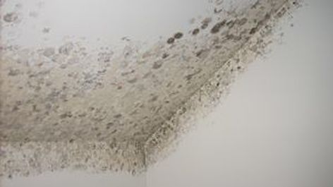 Como pintar una pared con humedad Como pintar una pared con humedad