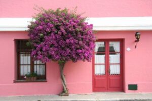 Consejos para pintar una fachada Consejos para pintar una fachada