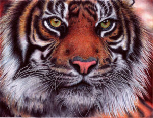 Impresionantes dibujos hechos con bolígrafo Impresionantes dibujos hechos con bolígrafo