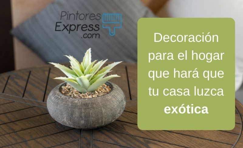 Decoración para el hogar que hará que tu casa luzca exótica