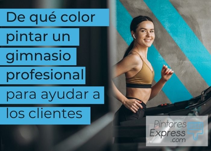 color pintar un gimnasio color pintar un gimnasio