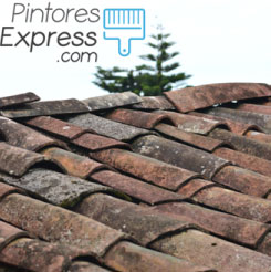 reparaciones-de-techos