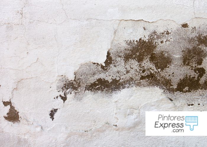 Pintar paredes con moho Pintar paredes con moho